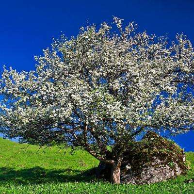 星空下载手机app下载截图