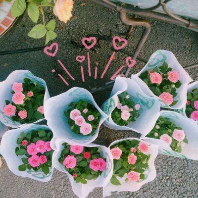 万博manbetx客户端